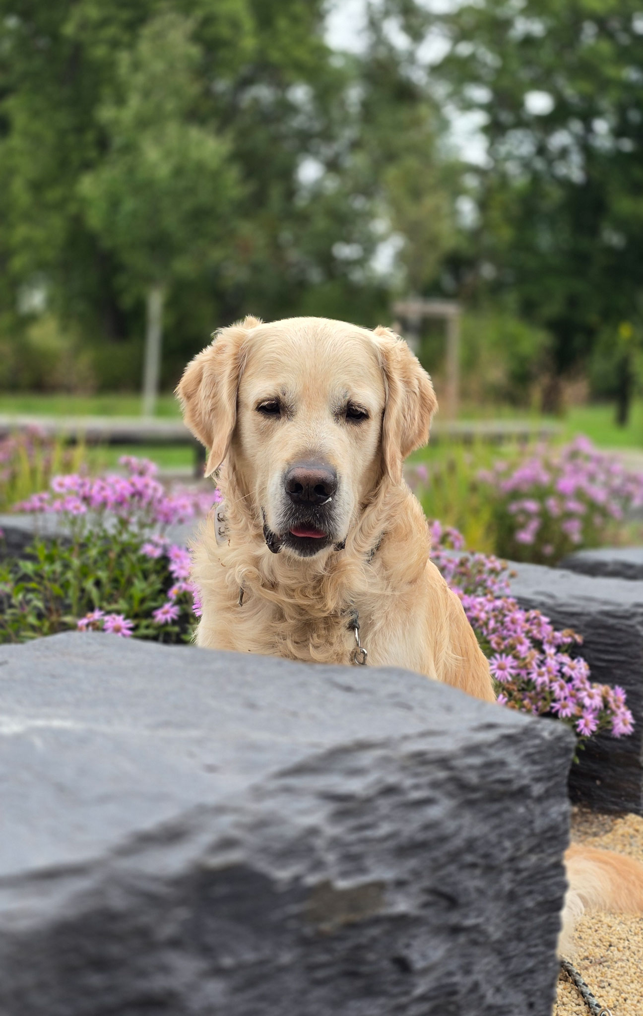 Deine schnelle Antwort auf deine persönliche Frage Deine schnelle Antwort auf deine persönliche Frage